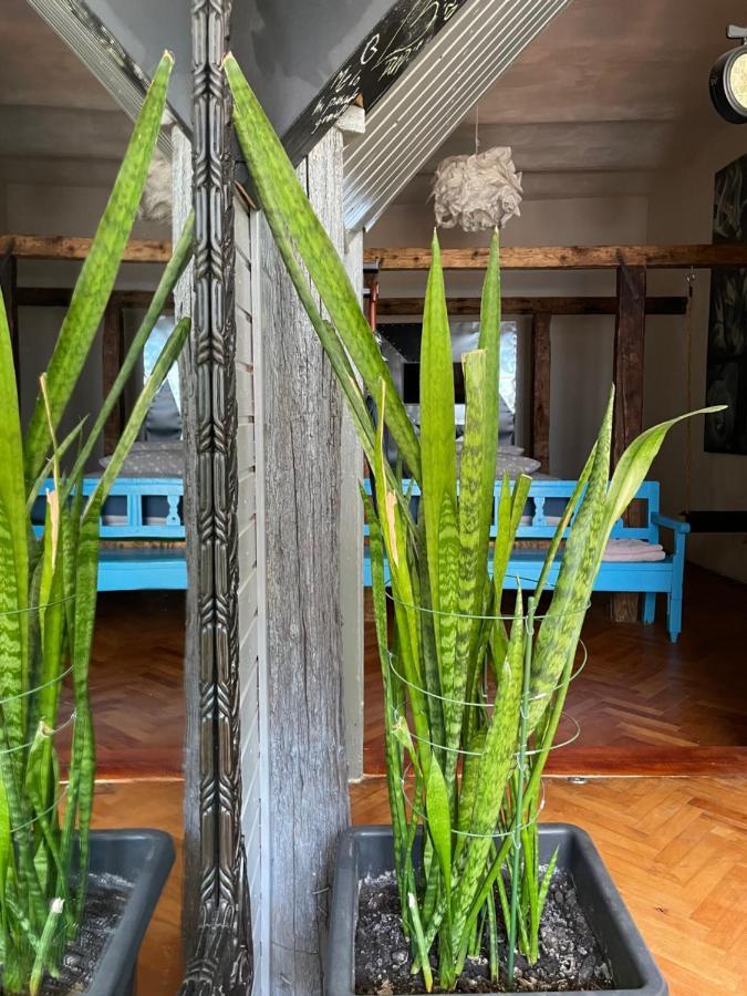 Apartamente A La Cluj Ngoại thất bức ảnh